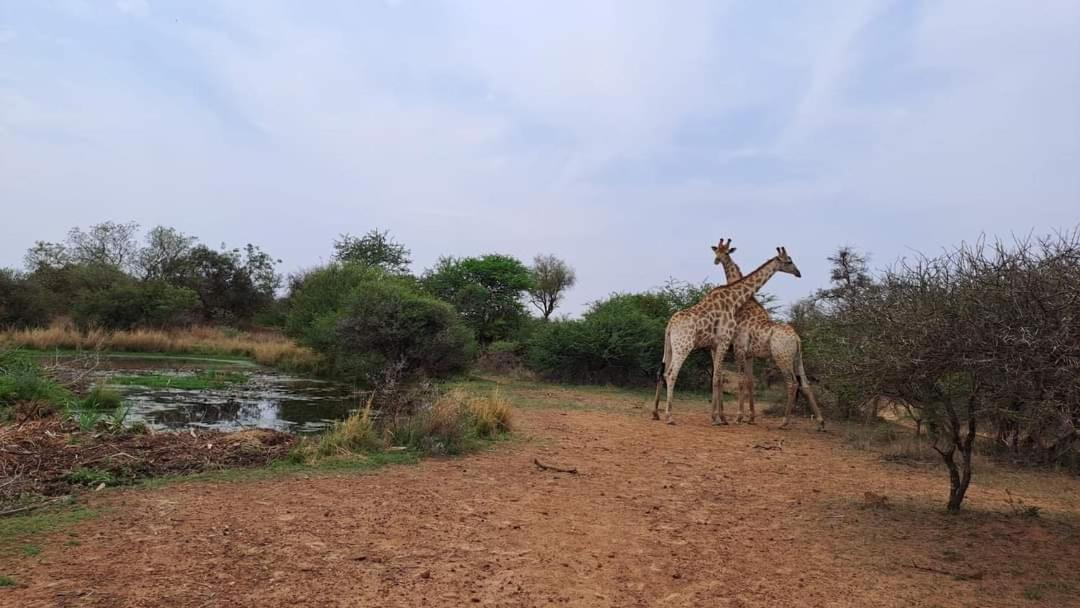 Ndlovu Log Dinokeng Casa de Férias *