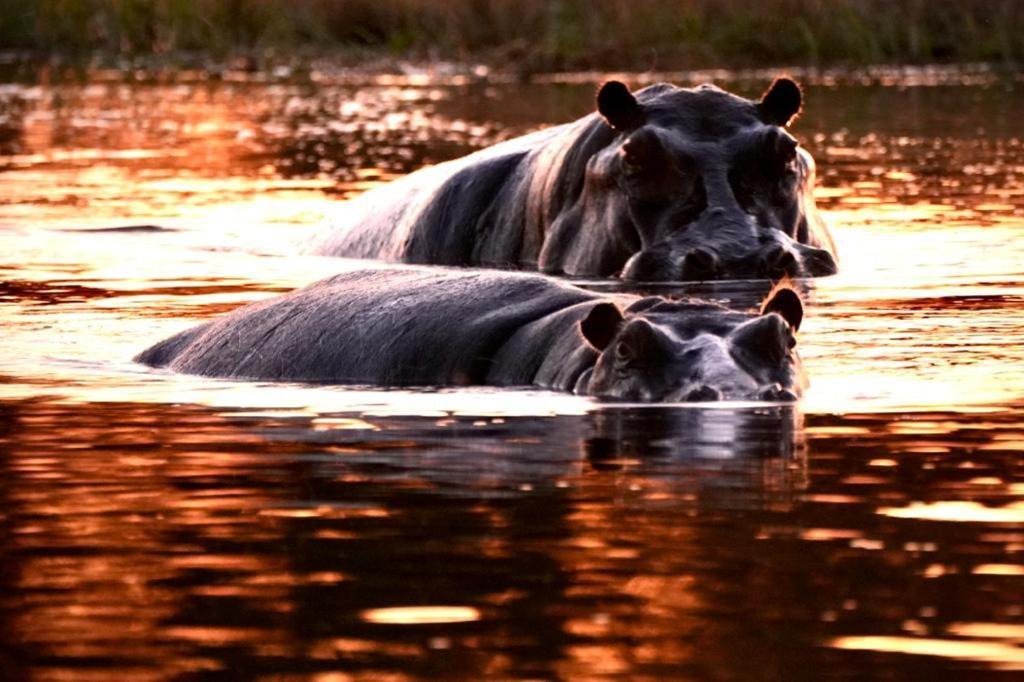 Ndlovu Log Dinokeng Casa de Férias