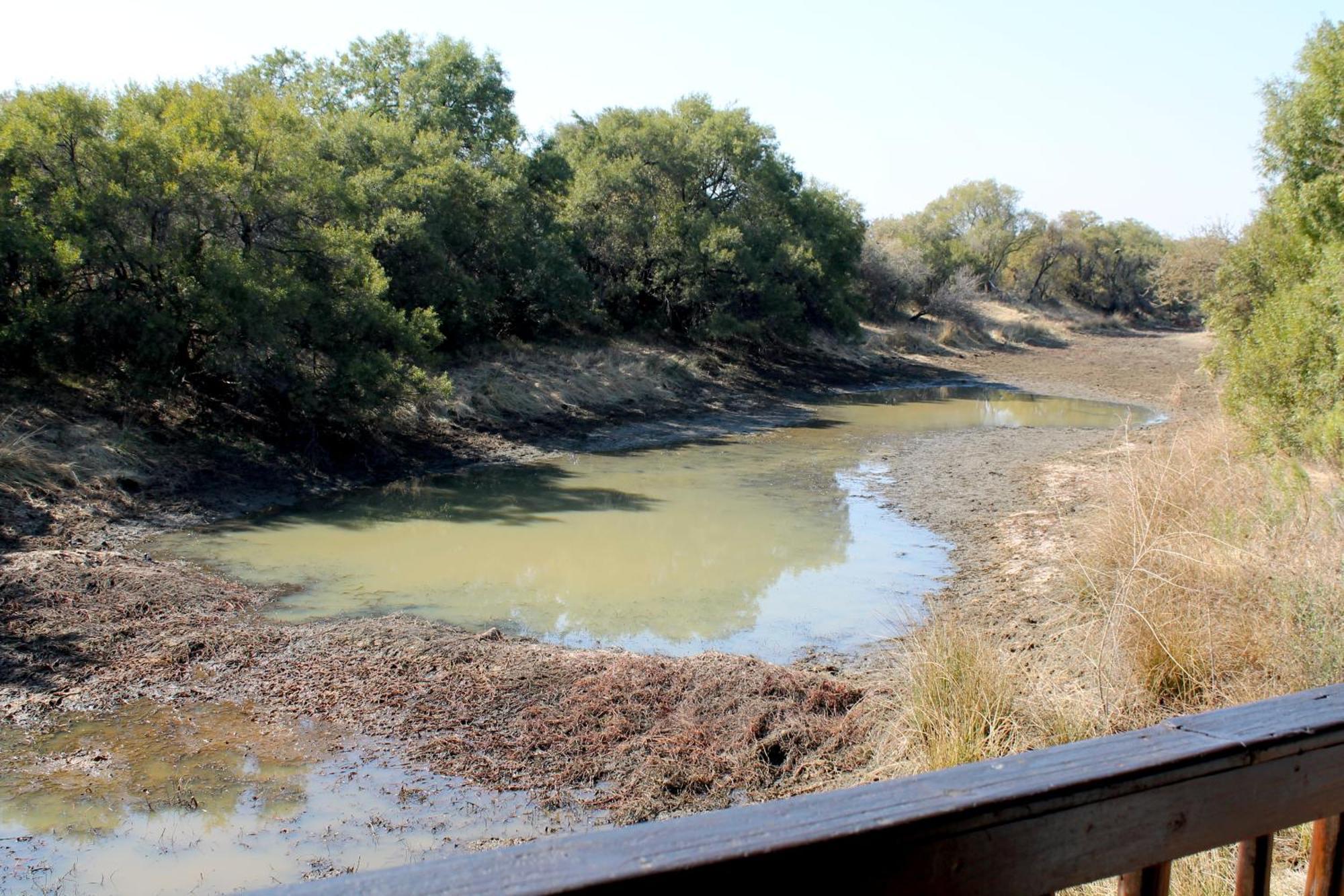 Casa de Férias Ndlovu Log Dinokeng *